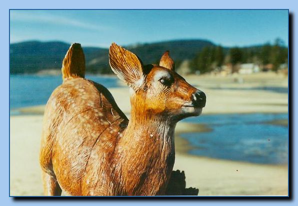 2-77 deer-archive-0003